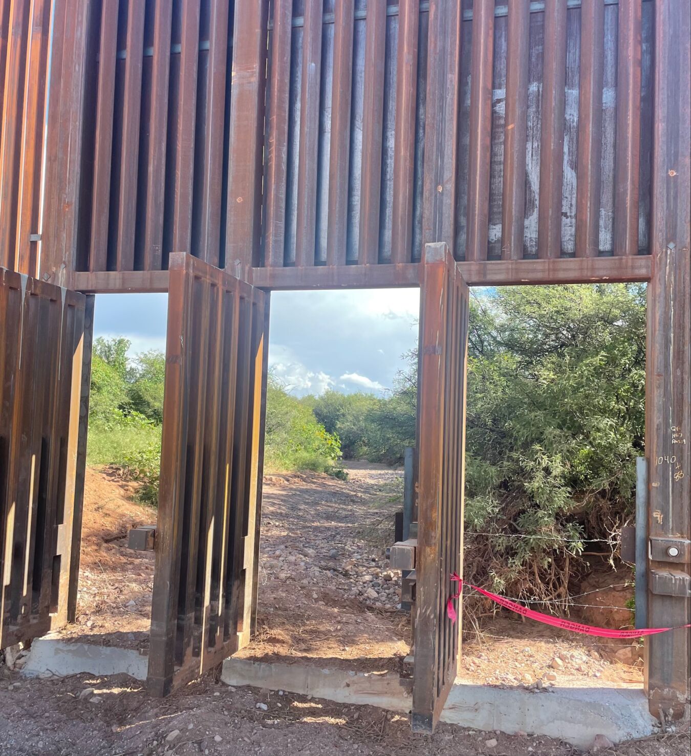 The Social Media Girl Goes to the Border - Texas Public Policy Foundation